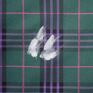 Tartan Jacket (With Paint)